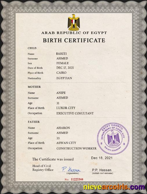 Egypt vital record birth certificate